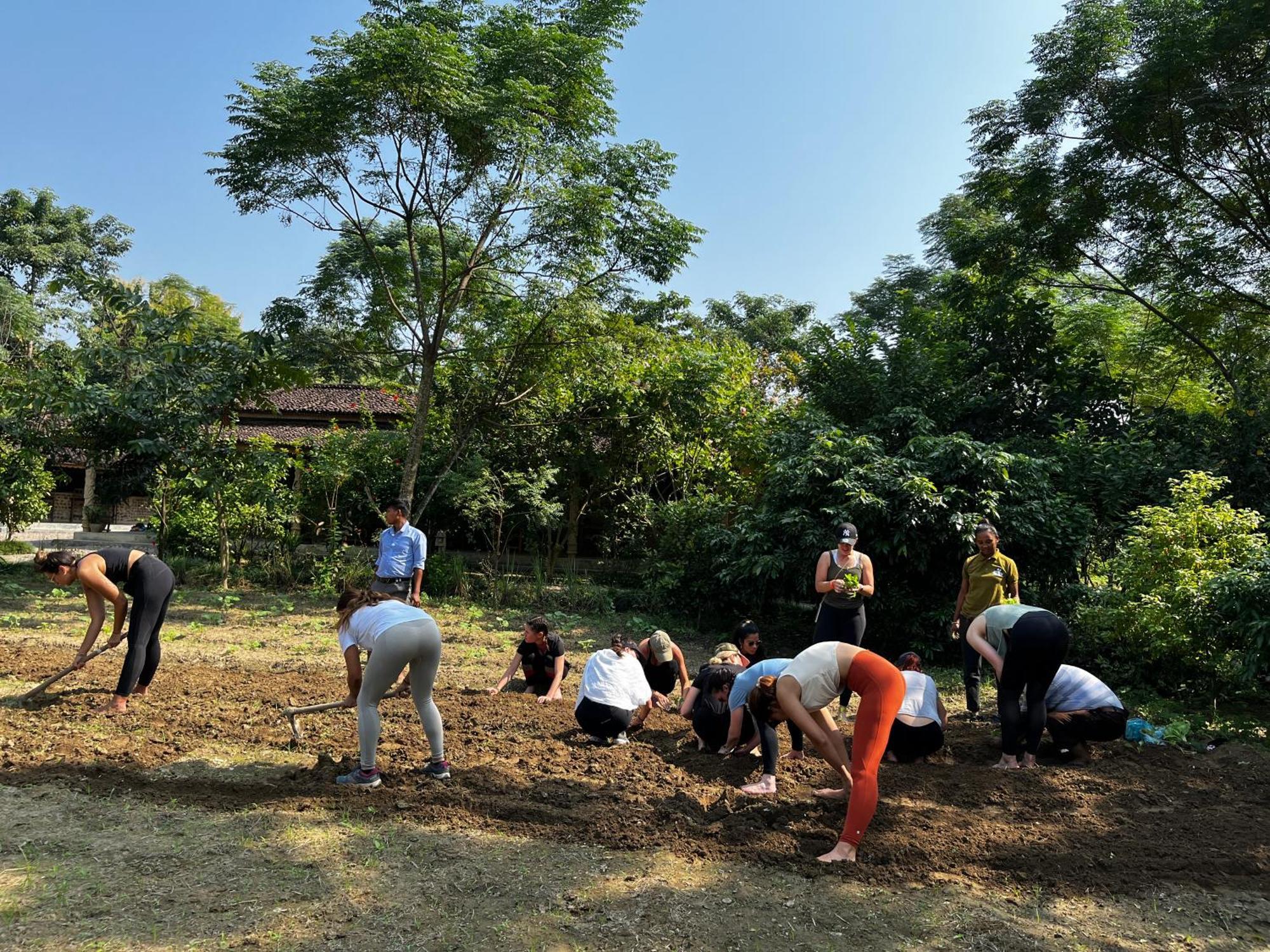 Kawasoti Tharu Community Lodge מראה חיצוני תמונה